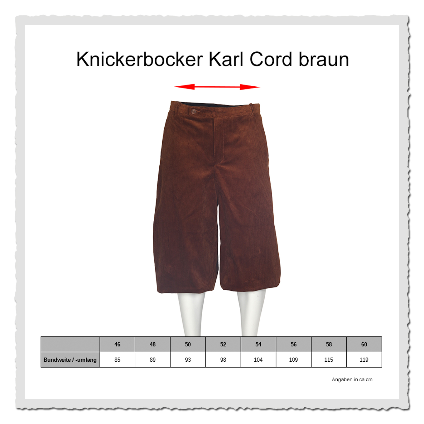 Knickerbocker Karl Cord braun
